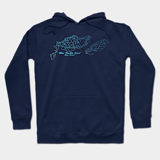 Stowe Mountain Resort Trail Map Hoodie